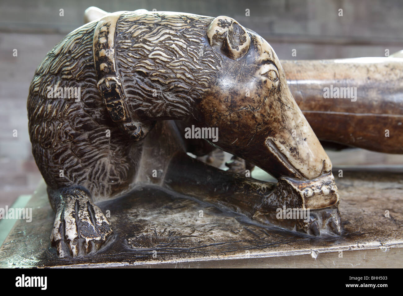 At the foot of Sir Richard Pembridge`s effigy in Hereford Cathedral is this dog,it was most probably Sir Richard`s pet. Stock Photo